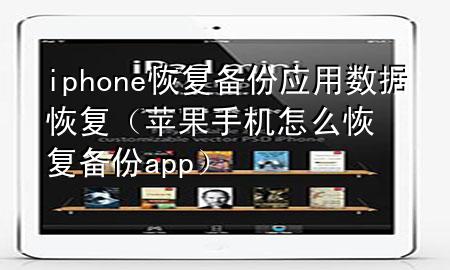 iphone恢复备份 应用数据恢复（苹果手机怎么恢复备份app）